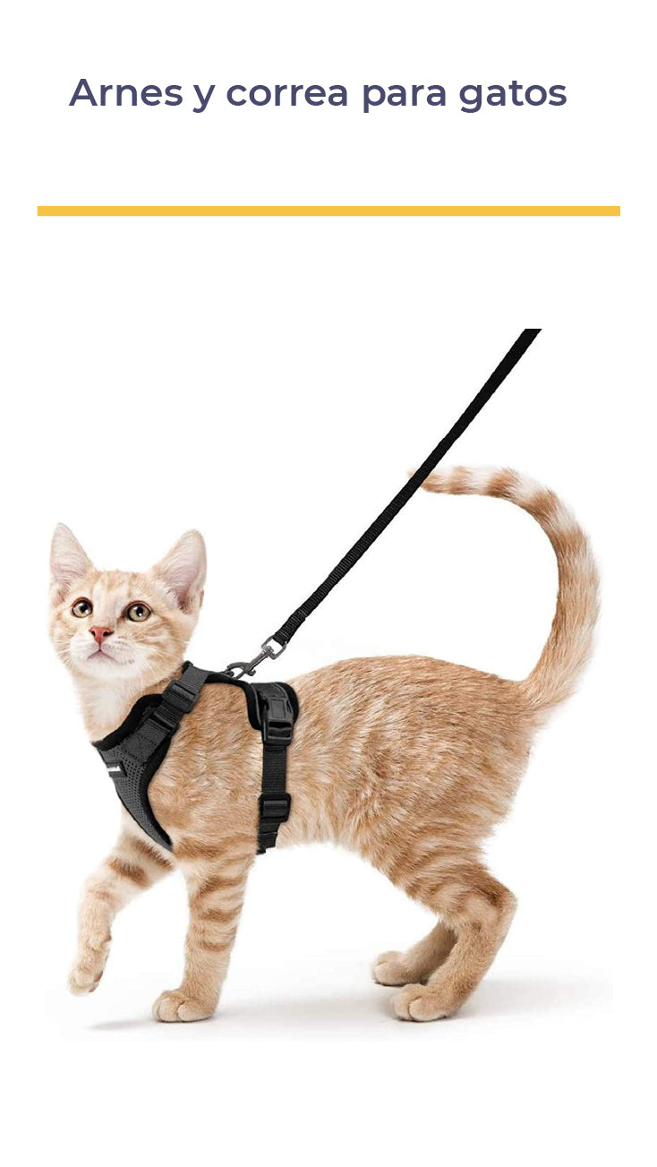 ARNÉS Y CORREA ANTIESCAPE PARA GATOS