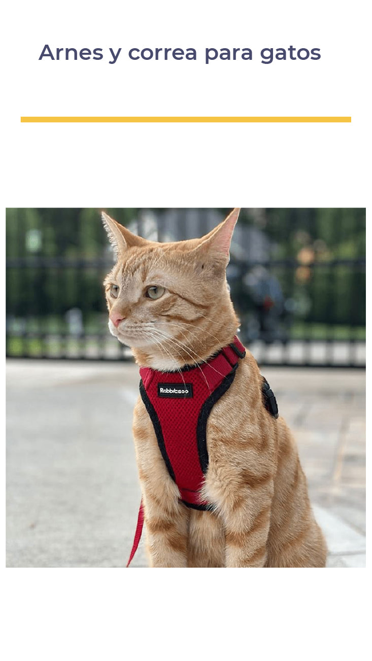 ARNÉS Y CORREA ANTIESCAPE PARA GATOS