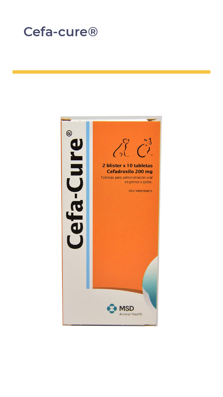 CEFA-CURE®