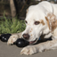 KONG® EXTREME GOODIE BONE