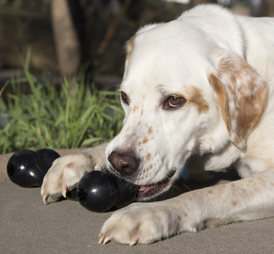 KONG® EXTREME GOODIE BONE