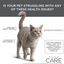 Diamond® CARE FÓRMULA DE APOYO URINARIO PARA GATOS ADULTOS