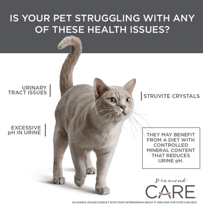Diamond® CARE FÓRMULA DE APOYO URINARIO PARA GATOS ADULTOS