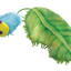 KONG® FLINGAROO CATERPILLAR