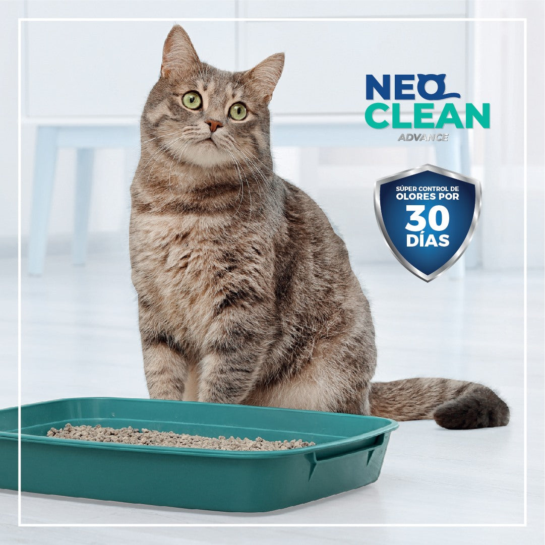 NEO CLEAN®  Arena Sanitaria Para Gatos Natural-SIN AROMA