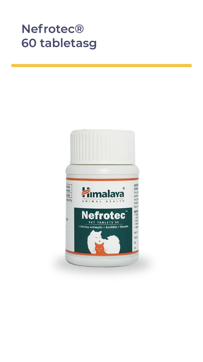 Nefrotec® 60 tabletas