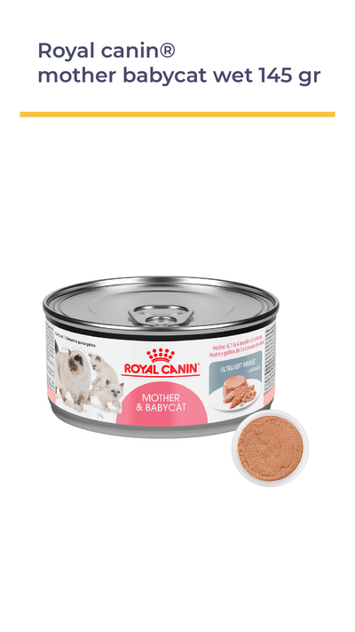 ROYAL CANIN® MOTHER & BABYCAT WET 145 GR