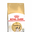 ROYAL CANIN® Siamese Adult 2 KG