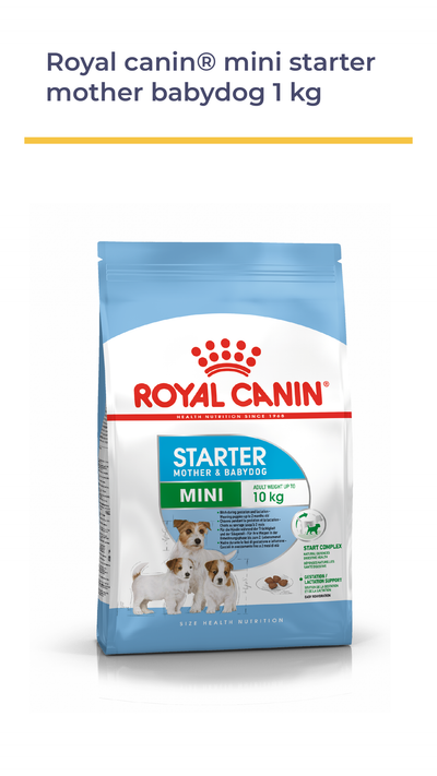 ROYAL CANIN® Mini Starter MOTHER & BABYDOG 1 KG