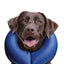 KONG® COLLAR DE RECUPERACIÓN INFLABLE CLOUD