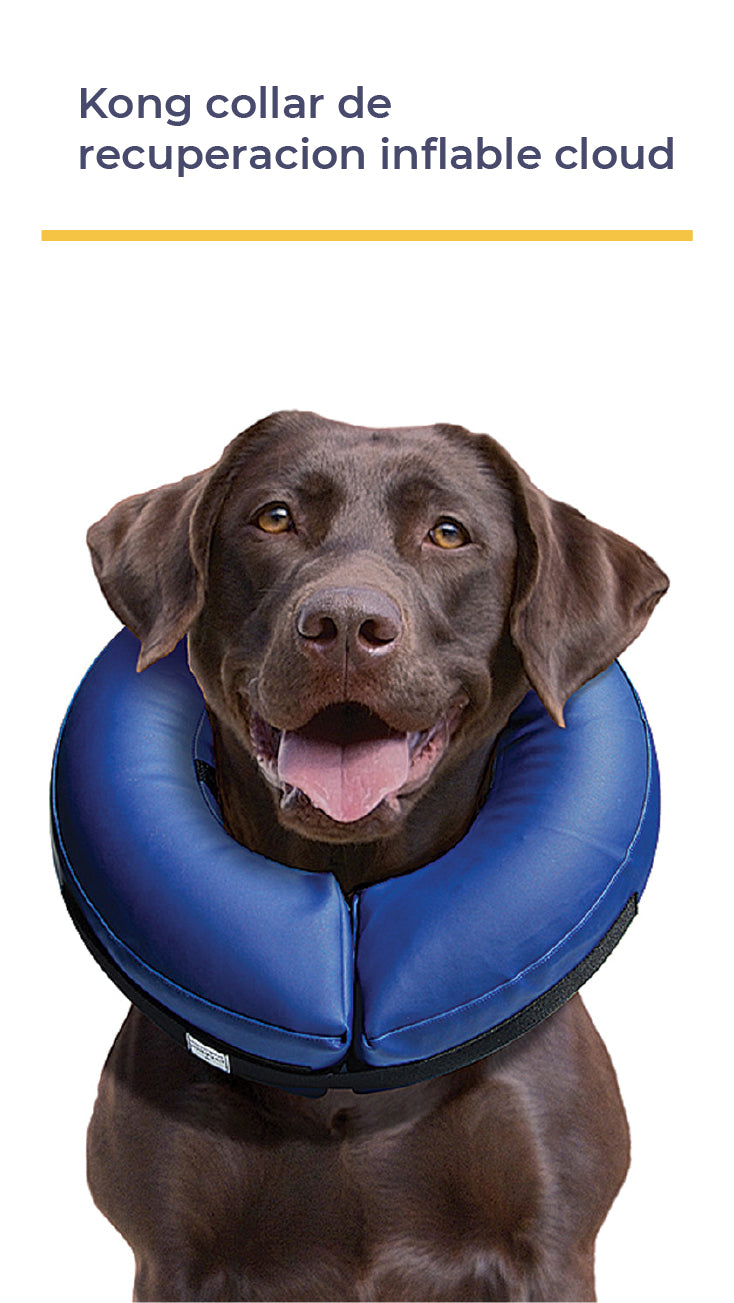 KONG® COLLAR DE RECUPERACIÓN INFLABLE CLOUD