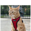 ARNÉS Y CORREA ANTIESCAPE PARA GATOS
