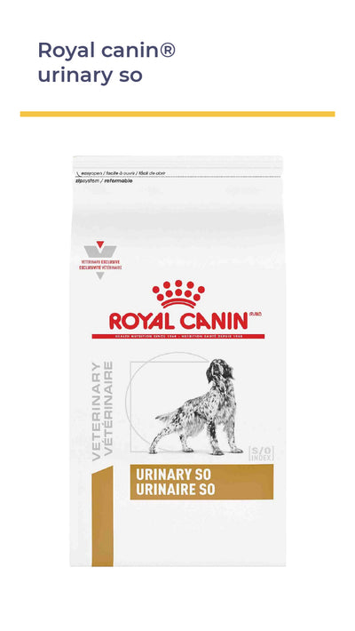 ROYAL CANIN® CANINE Urinary S/O