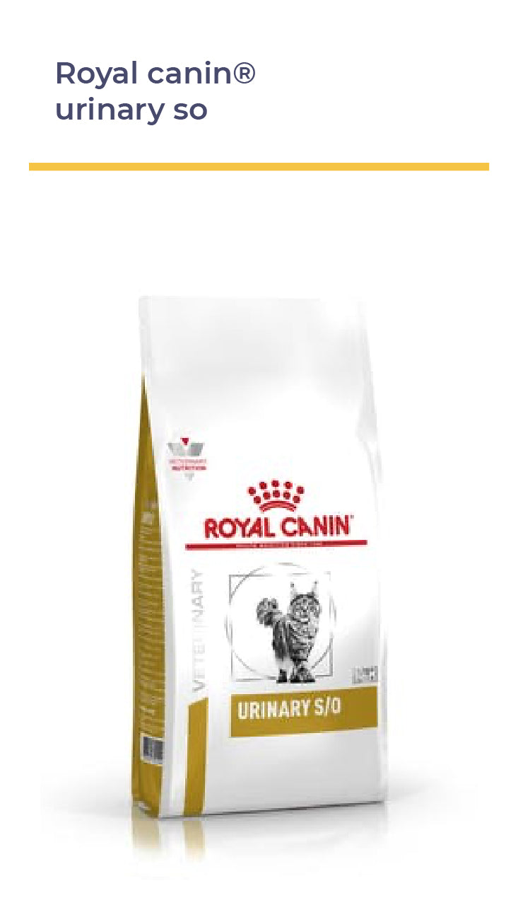 ROYAL CANIN® FELINE Urinary S/O