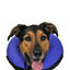 KONG® COLLAR DE RECUPERACIÓN INFLABLE CLOUD