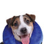 KONG® COLLAR DE RECUPERACIÓN INFLABLE CLOUD