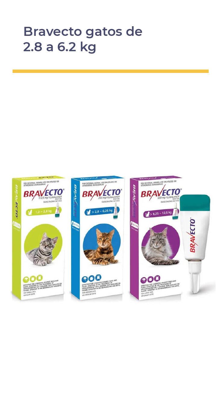 BRAVECTO® GATOS