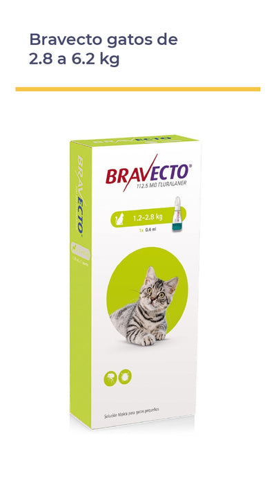 BRAVECTO® GATOS