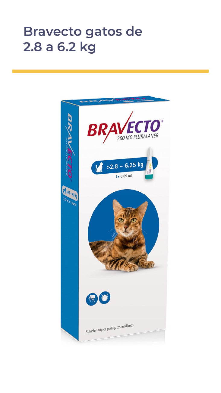 BRAVECTO® GATOS