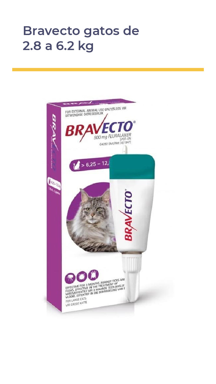 BRAVECTO® GATOS