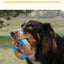 Juguete Para Perro KONG® CoreStrength™ Bamboo Ring
