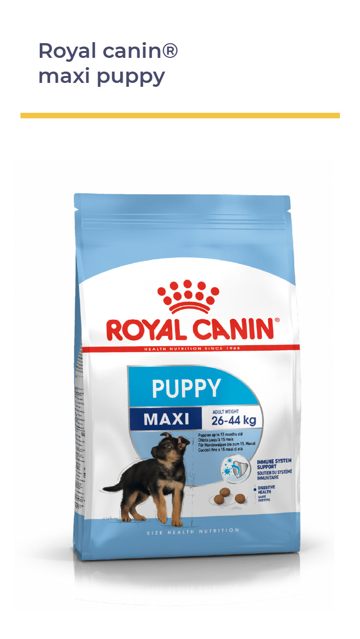 Royal Canin® MAXI PUPPY