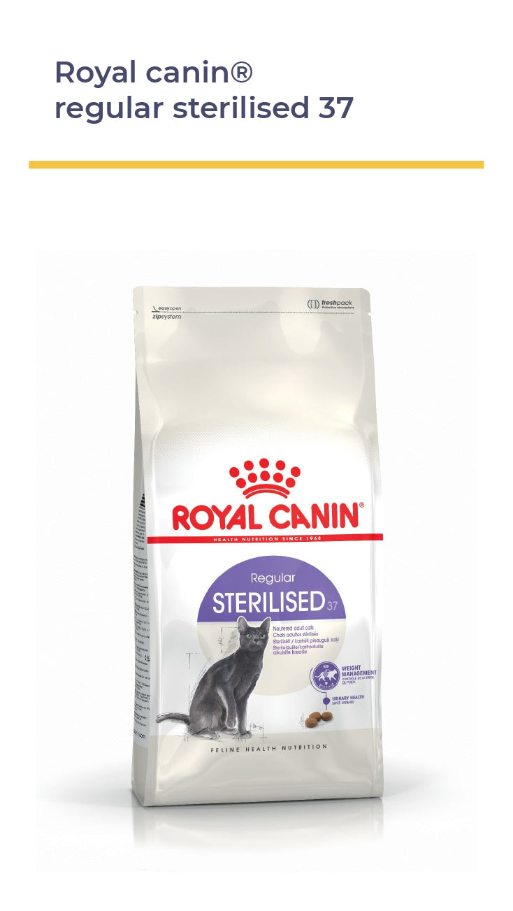 Royal Canin® Regular Sterilised 37