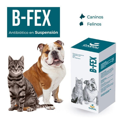 B-FEX® 60 ml