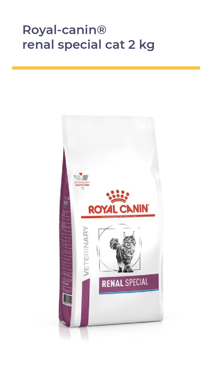 ROYAL CANIN® Renal Special Cat 2 kg