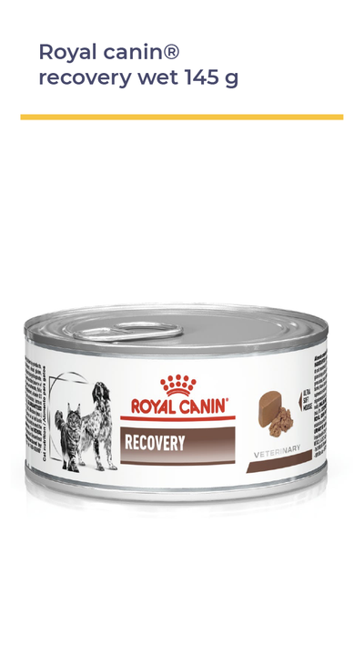 ROYAL CANIN® Recovery Wet 145 g