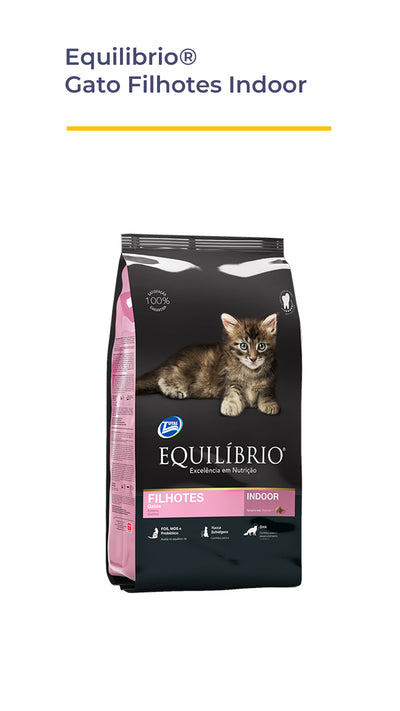 Equilibrio® Gato Filhotes Indoor