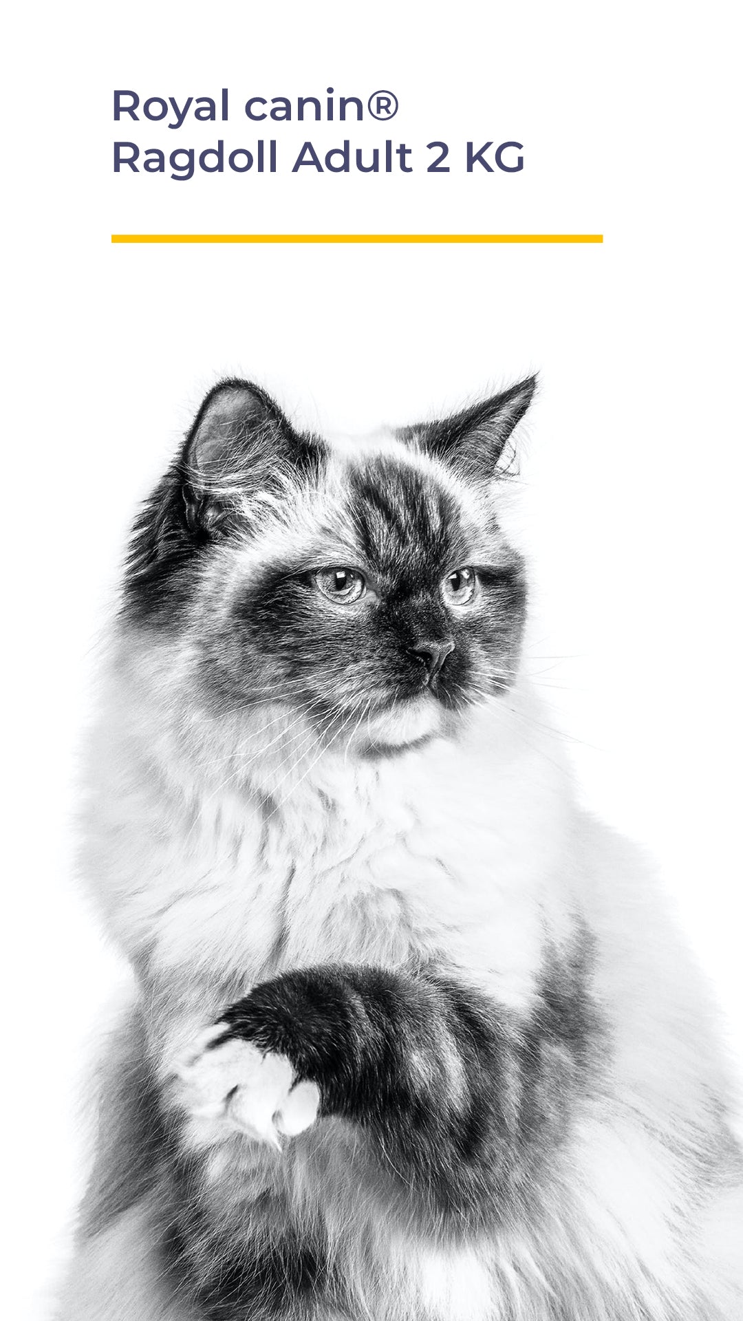 ROYAL CANIN® Ragdoll Adult 2 KG