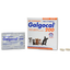 GALGOCAL® CAJA 2 TABLETAS